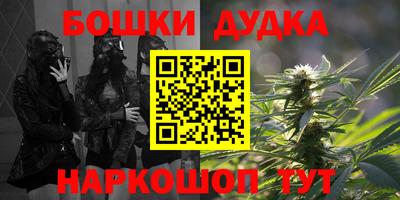 индика Мариинск