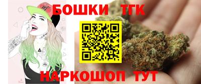 гидра Моздок