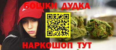 индика Мариинск