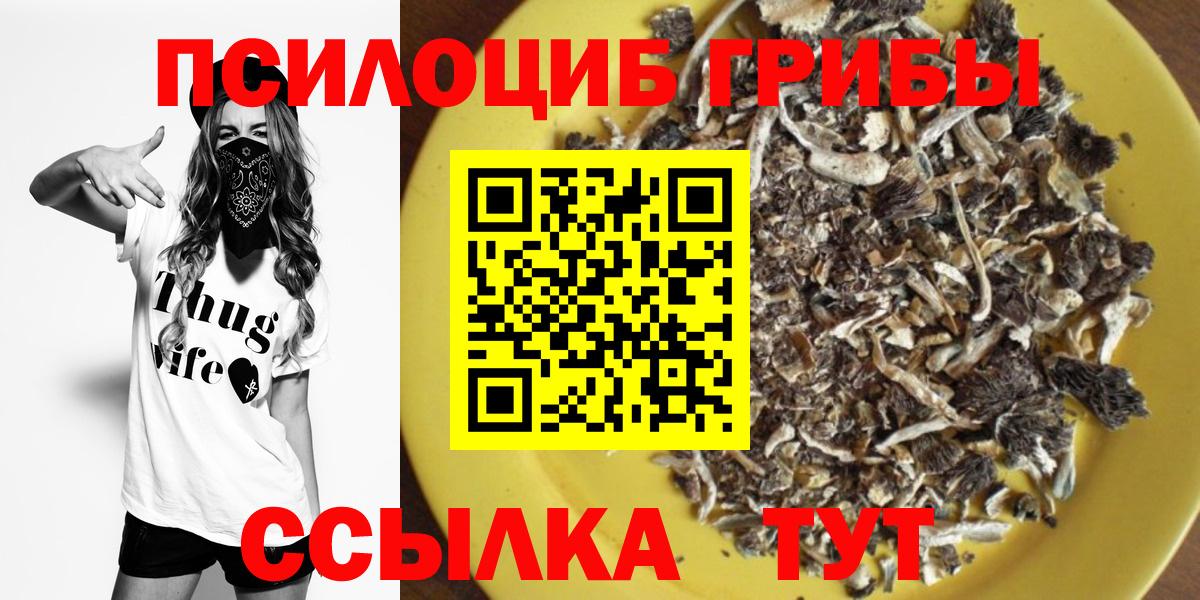 Галлюциногенные грибы мухоморы Черняховск