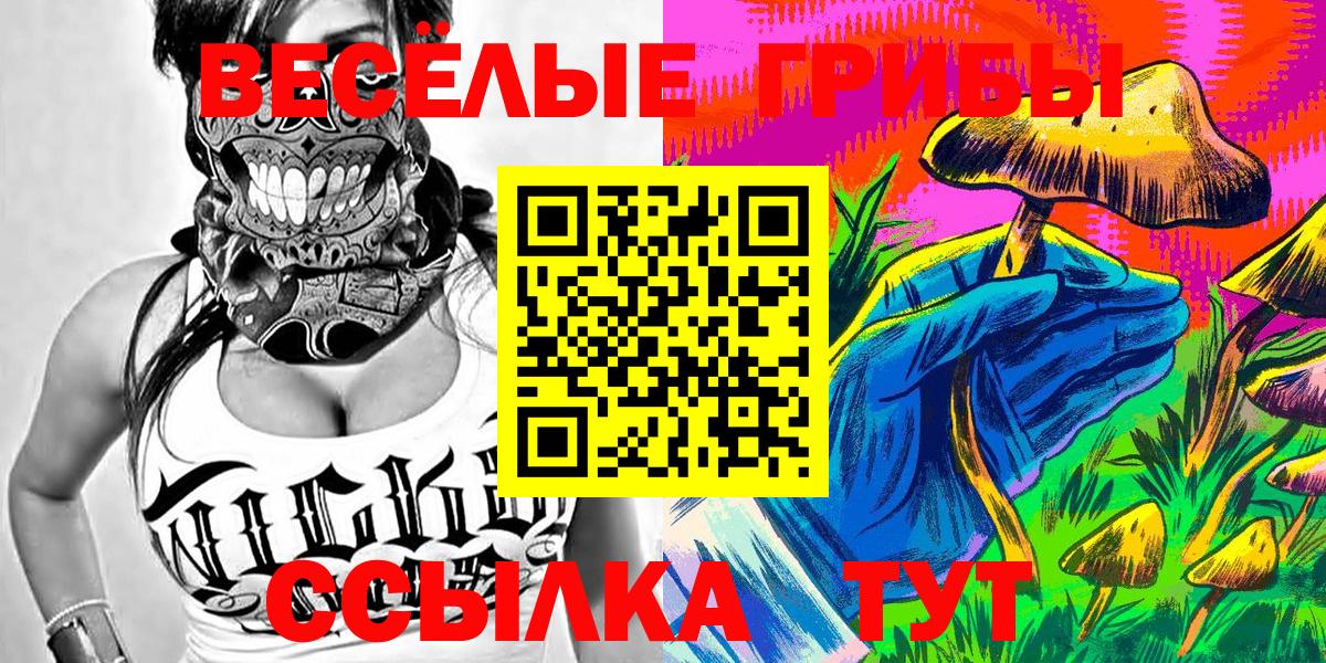 Черняховск  Галлюциногенные грибы мухоморы  Вход с VPN 